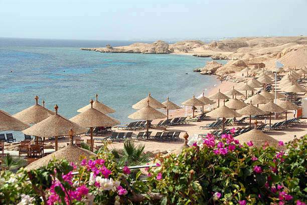 Jaz Sharm Dreams, Egypt