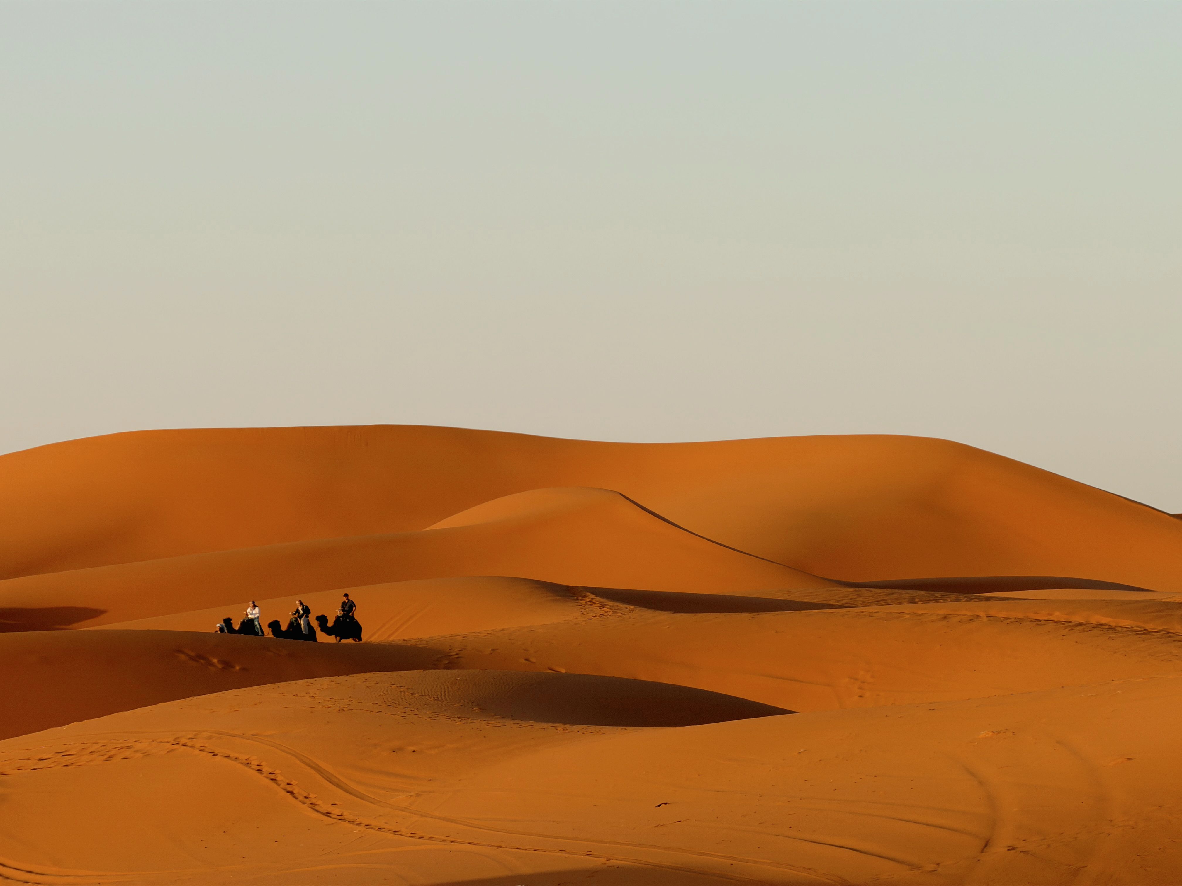 Adventures across Africa and beyond