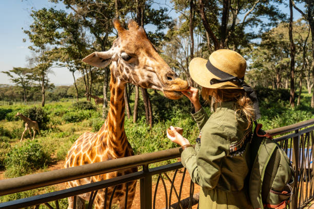 Leopard Beach Resort & Spa, Kenya