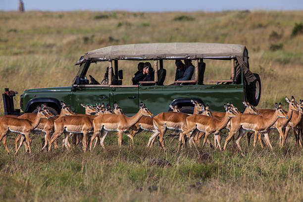 Voyager Beach Resort, Kenya