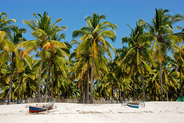 Dugong Beach Lodge, Mozambique