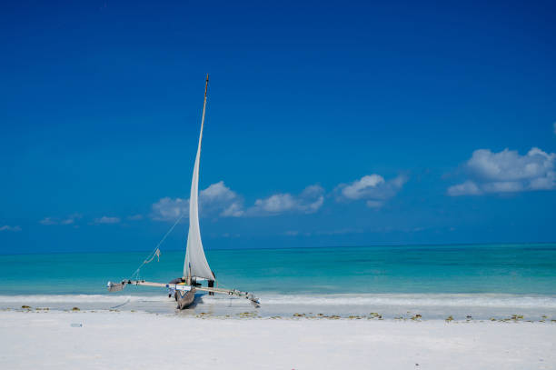Zanzibar aerial resort view